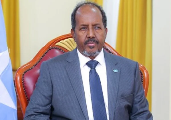 Somalia’s President Seeks Turkey’s Help to Resolve Dispute with Regional State