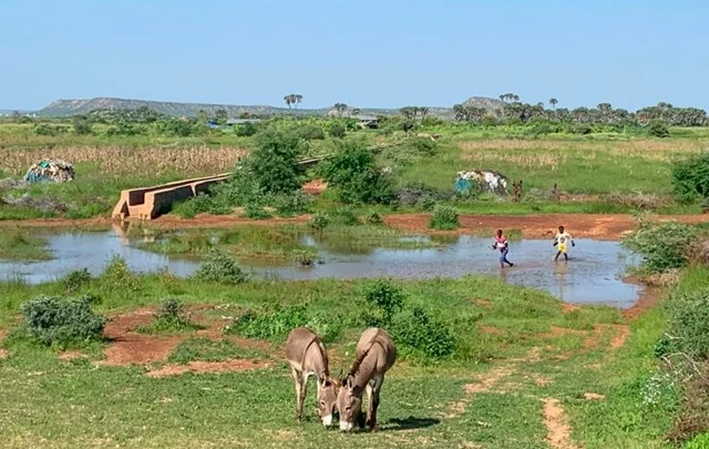 The Somali Region of Ethiopia Faces an Alarming Future as Climate Change Depletes Water Resources