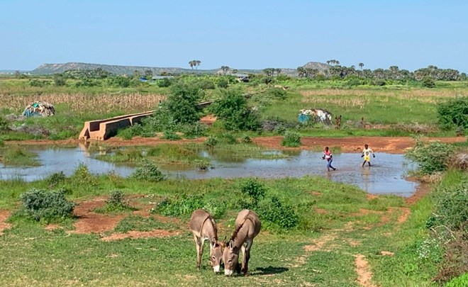 Ethiopia’s Somali region faces a bleak future as climate change dries up water sources
