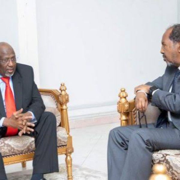 Villa Somalia Releases Mandates Against Laftagareen After High Profile Consultation
