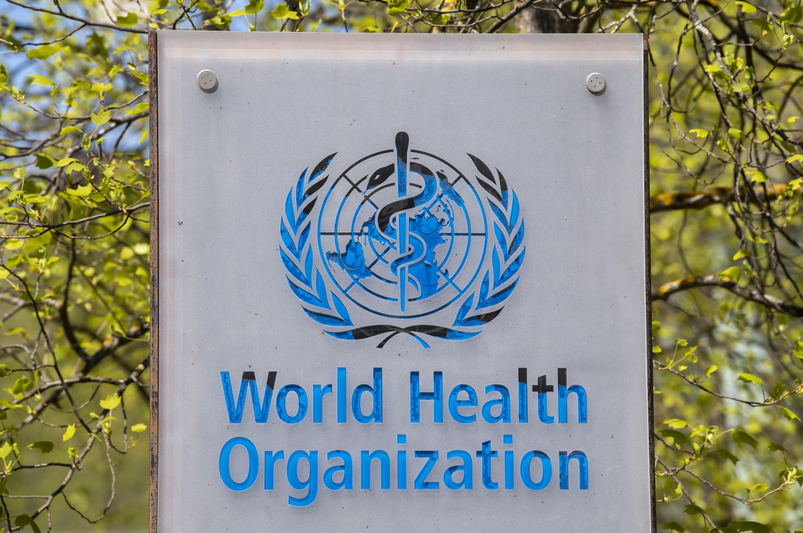 WHO declares global health emergency over mpox
