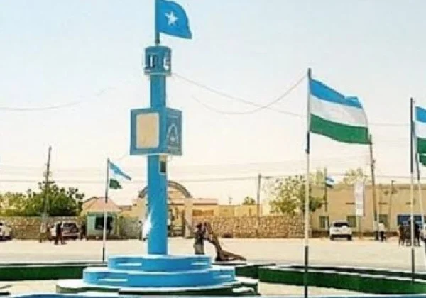 World Environment Day 2024 in Garowe: Reflecting on a City in Need of Tree Planting Efforts