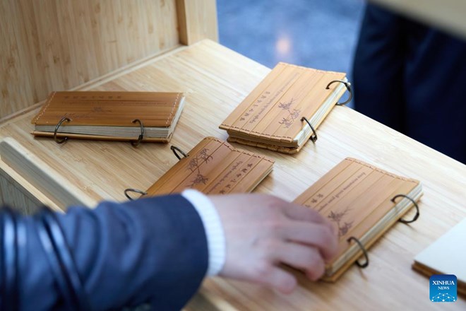China, EU, Africa seek green cooperation using bamboo instead of plastic