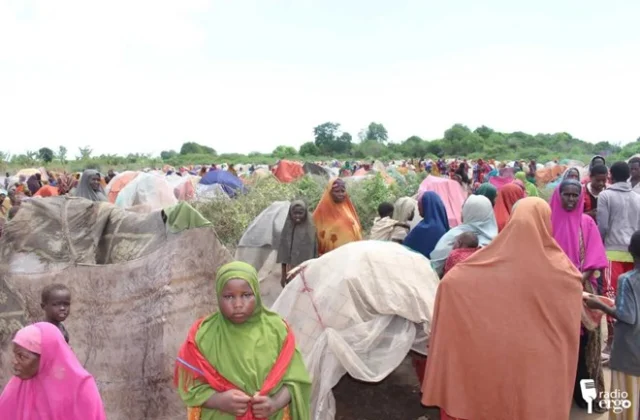 Crop Failure Forces 120 Families from Their Homes Near Baidoa Amid South-West Somalia Drought