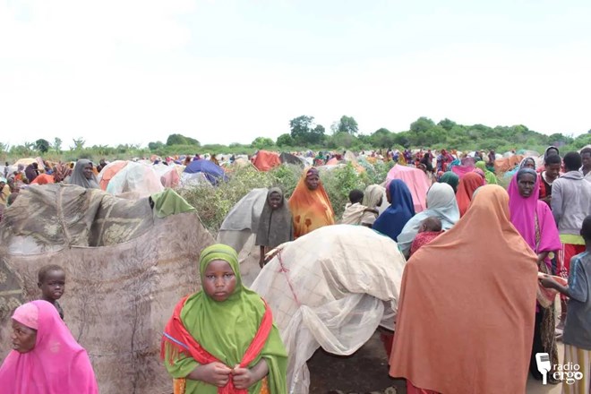 Drought displaces 120 families near Baidoa as crops fail in South-West Somalia