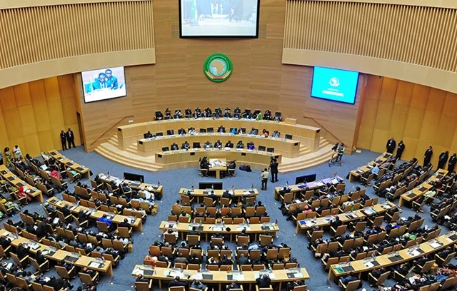 Egypt Takes the Helm of African Peace and Security Council