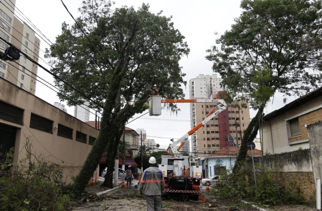Eight Lives Lost as Intense Rain Pummels Brazil Following Prolonged Drought