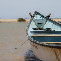 Ethiopian Embassy Reports Tragic Accident Involving 48 Migrants Near Djibouti Coast