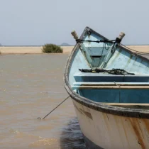 Ethiopian Embassy Reports Tragic Accident Involving 48 Migrants Near Djibouti Coast