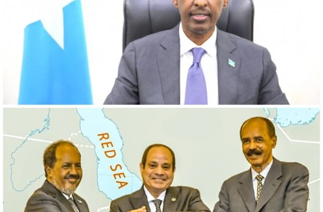 Former Foreign Minister Predicts the Fragility of Somalia’s Partnership with Egypt and Eritrea