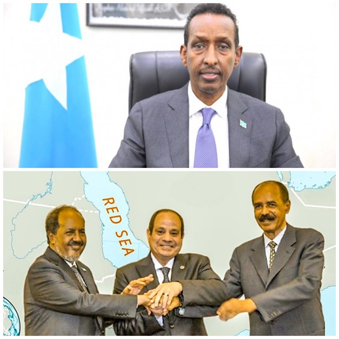 Somalia’s alliance with Egypt and Eritrea won’t last, says former foreign minister