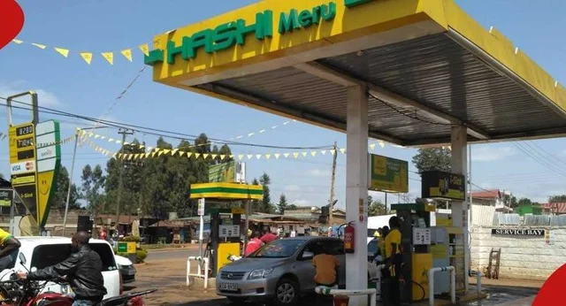 Hashi Energy Faces $54 Million Tax Appeal Defeat Amid Impending Liquidation