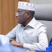 Himilo Qaran Party Opposes Term Extensions, Cautions Against Rising Conflicts Under Hassan Sheikh