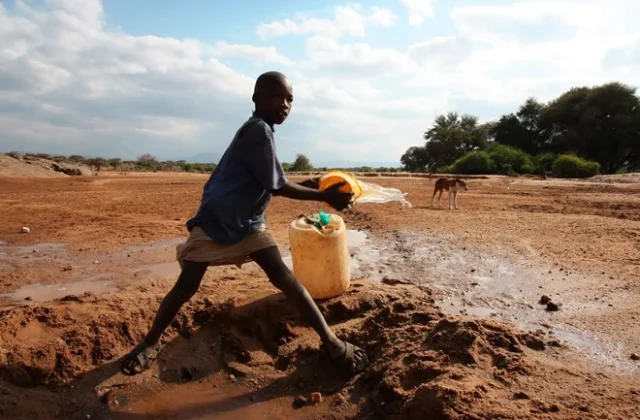 Kenyan Authorities Report 1 Million Individuals Facing Food Insecurity