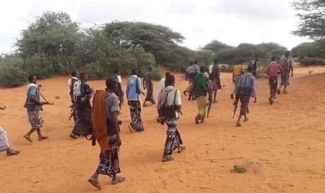 Ma’awisleey Troops Execute Uncommon Assault on al-Shabaab Stronghold, Liberate Civilians in Elbur