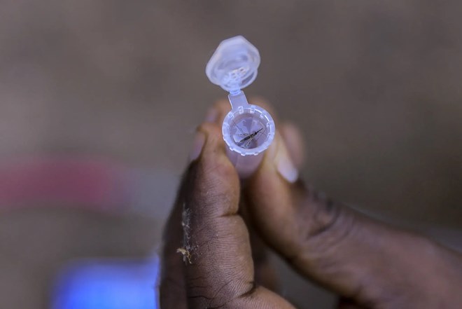 Malaria is surging in Ethiopia, reversing a decade of progress against the disease