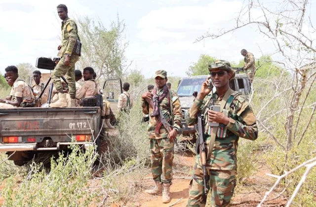 NISA and Global Allies Eliminate 40 al-Shabab Fighters in a Coordinated Effort