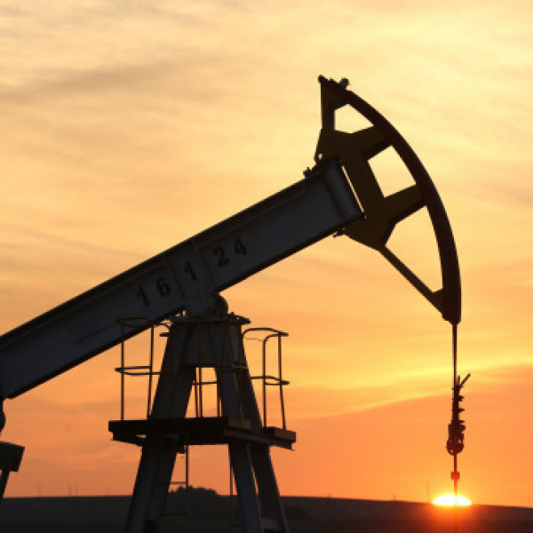 Northeastern State Refutes Allegations of Obstructing Somalias Oil Search Labels