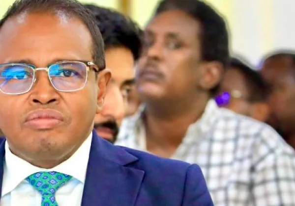 Northeastern State’s Environment Minister Advocates for Solar Energy Investment to Combat Deforestation in Somalia