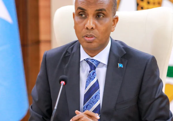 Prime Minister Hamza’s Flawed and PPP-Focused National Transformation Strategy for Somalia: A Blueprint for Disaster