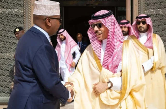 Saudi Foreign Minister Welcomes Somali Counterpart in Riyadh