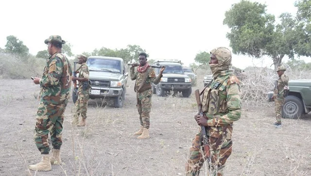 Somali Army Successfully Eliminates Top al-Shabab Leader in Lower Jubba Mission