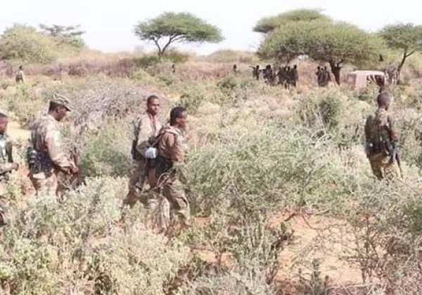 Somali Military Strikes Al-Shabaab Gathering, Officials Report