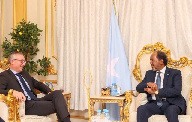 Somali President Advocates for Increased German Assistance in Vocational Education