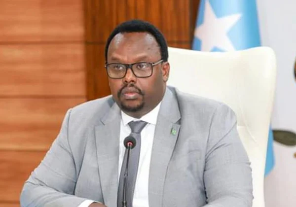 Somali Senate Ousts Deputy PM Over Frequent Absences