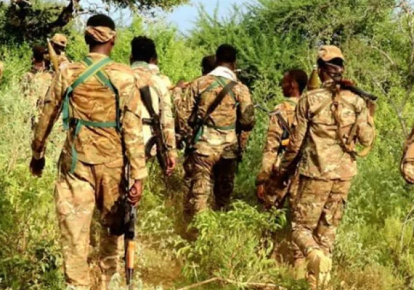 Somali and Jubaland Troops Achieve Key Advancements Against Al-Shabaab in Lower Jubba Area