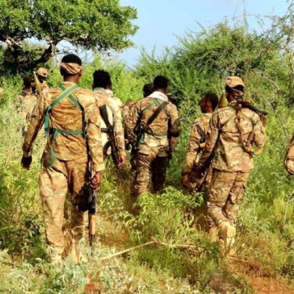 Somali and Jubaland Troops Achieve Key Advancements Against Al Shabaab in