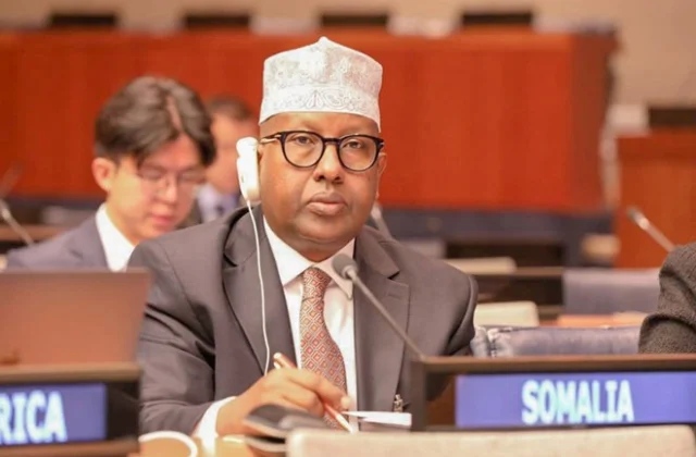 Somalia Denounces Israeli Attacks on Iran, Urges for Regional Peace and Stability