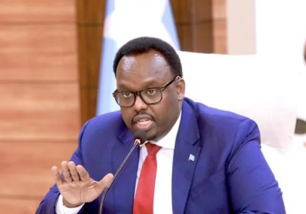 Somalia: Deputy Prime Minister firmly dismisses Senate speaker’s remarks, asserting, “I have no intention of leaving.”