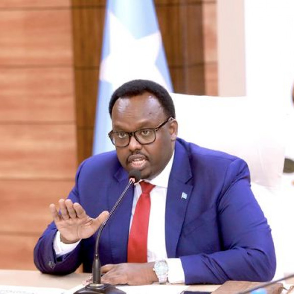 Somalia Deputy Prime Minister firmly dismisses Senate speakers remarks asserting