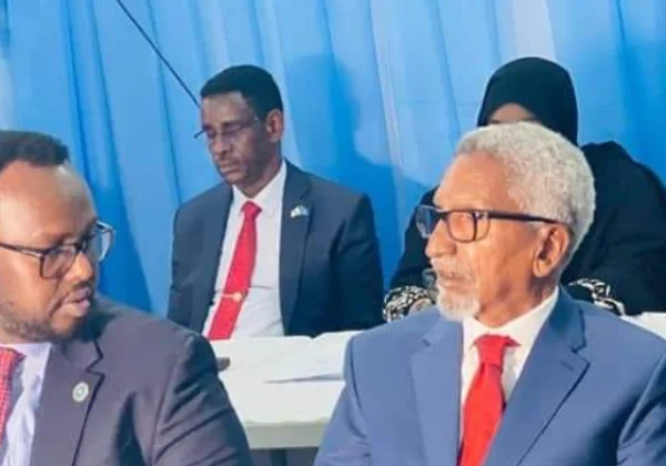 Somalia: Senate Faces Rising Tensions Amid Deputy PM’s Removal
