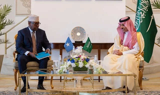 Somalia and Saudi Arabia Bolster Economic and Trade Relations Through Top-Level Discussions