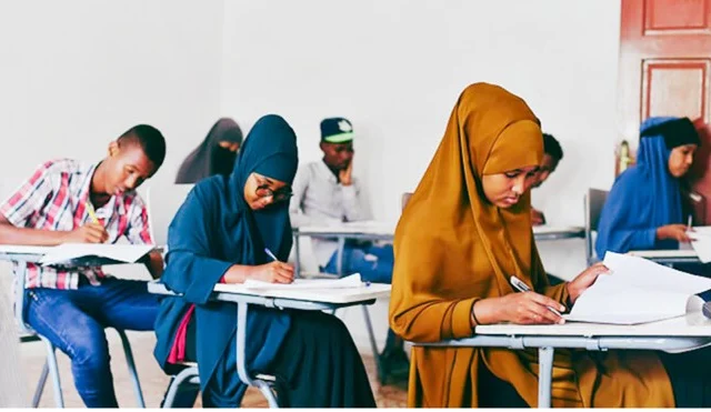 Tayo Dhisidda iyo Xallinta Duruufaha Waxbarashada Soomaaliya