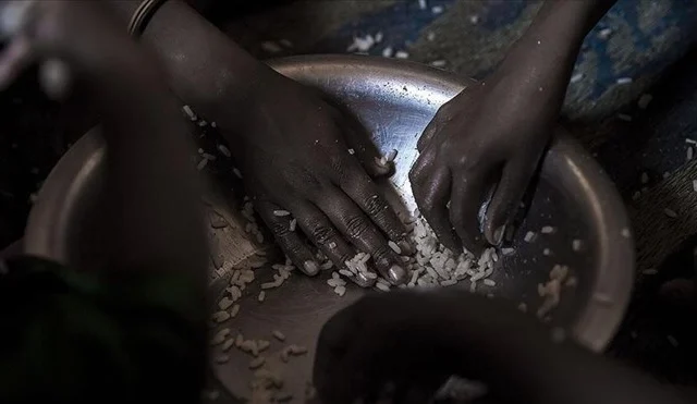 The UN anticipates that 4.4 million individuals in Somalia will encounter critical hunger levels.