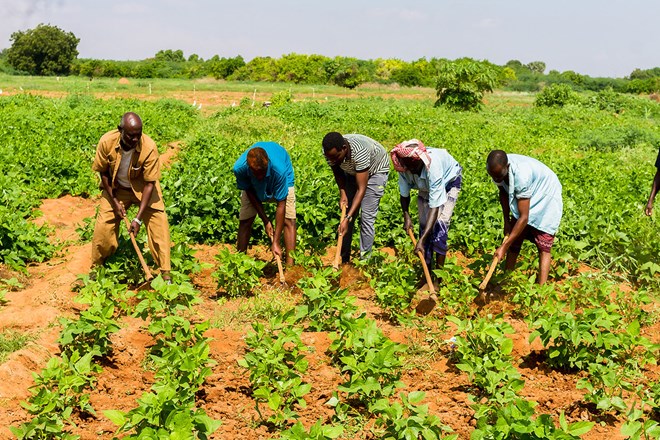 UN agencies vow to scale up investments to boost food production in Somalia