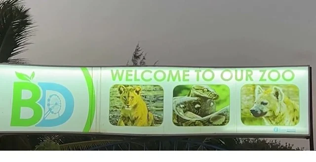 WATCH: Somalia’s Sole Zoo Revives After Years of Turmoil