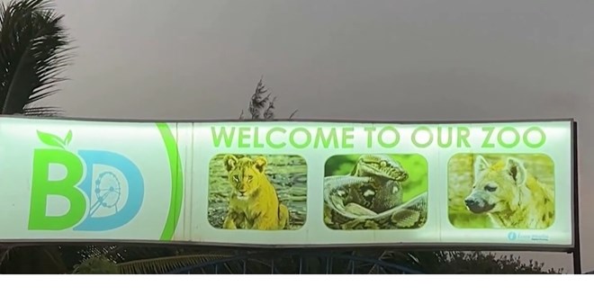 WATCH: Somalia’s only zoo comes back to life after years of conflict