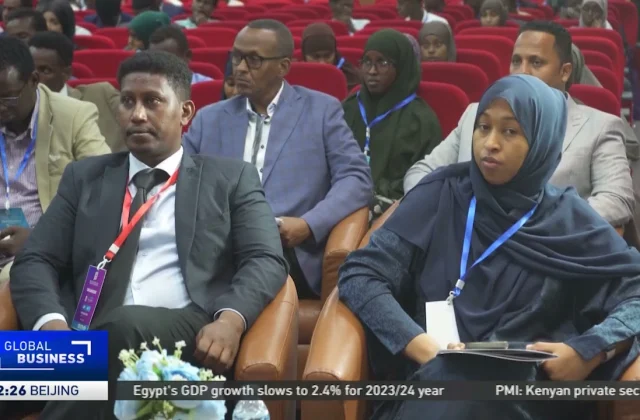 VIDEO: Somalia’s $2 Billion Banking Industry Confronts Obstacles in Embracing Cryptocurrency