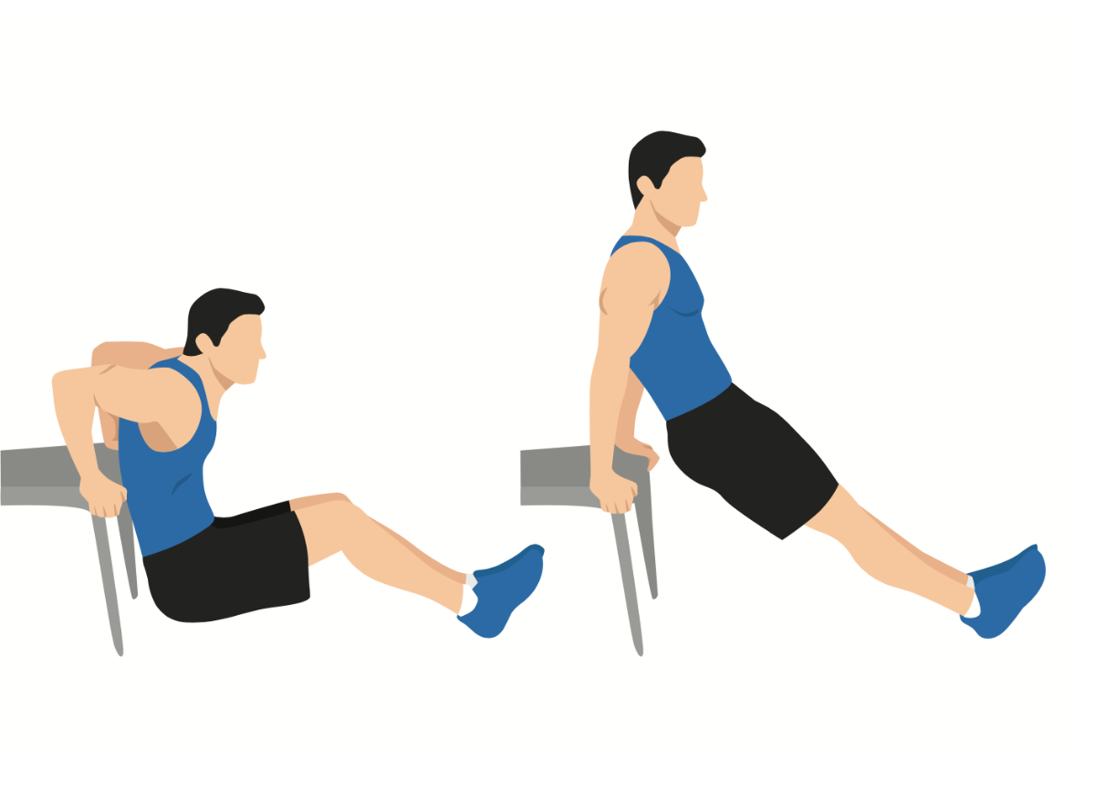 triceps dips illustration