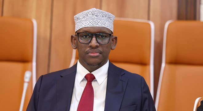 Third Somali Minister resigns, citing federal government interference in regional state affairs