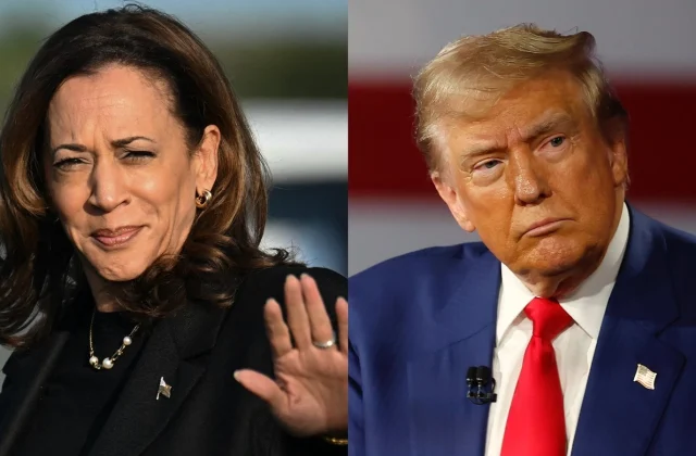 Campaign Season: Chaotic and Stressful or Wild and Entertaining?