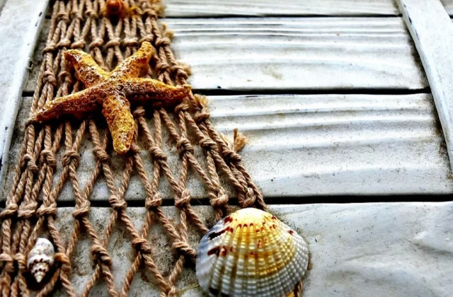 EU Fishing Boats Set to Leave Senegalese Waters as Agreement Concludes