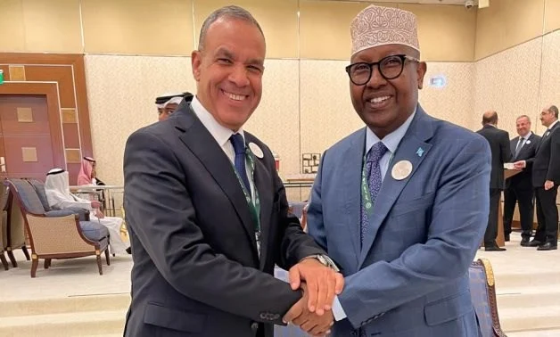 Egypt and Somalia Commit to Ongoing Dialogues on Shared Interests