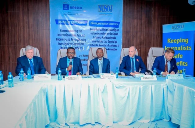 Envoys Advocate for Enhanced Media Safety Measures