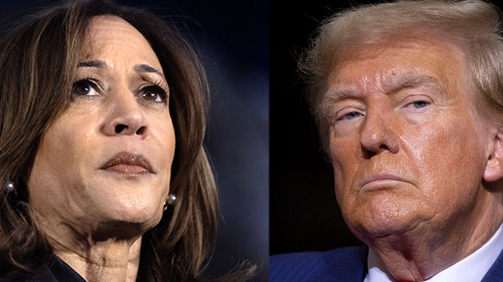Watch: Key moments from a wild US election race - in less than two minutes