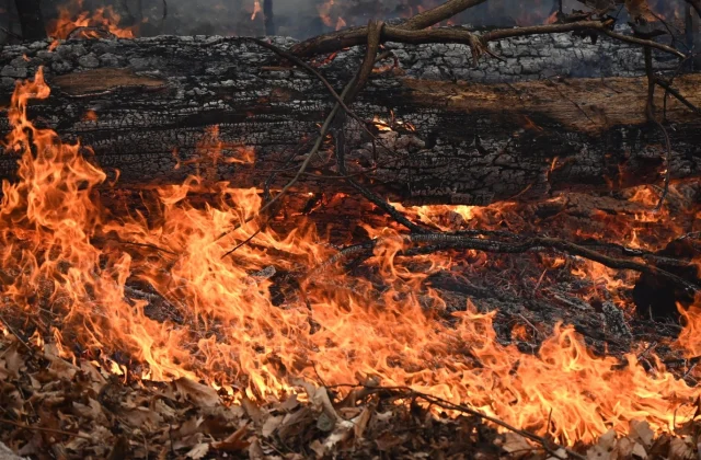Firefighters Tackle Blazing Wildfires Across Both Coasts of America